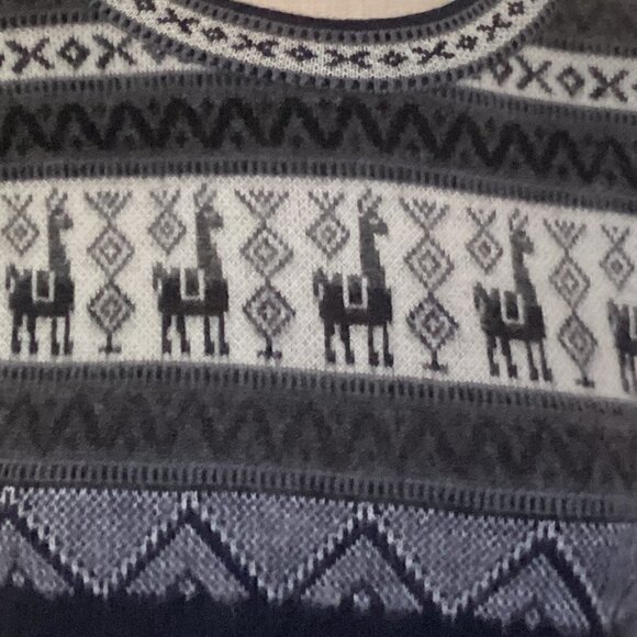 Andino Artesanias Alpaca Wool Crew Neck Sweater Sz M #86F - Picture 6 of 7